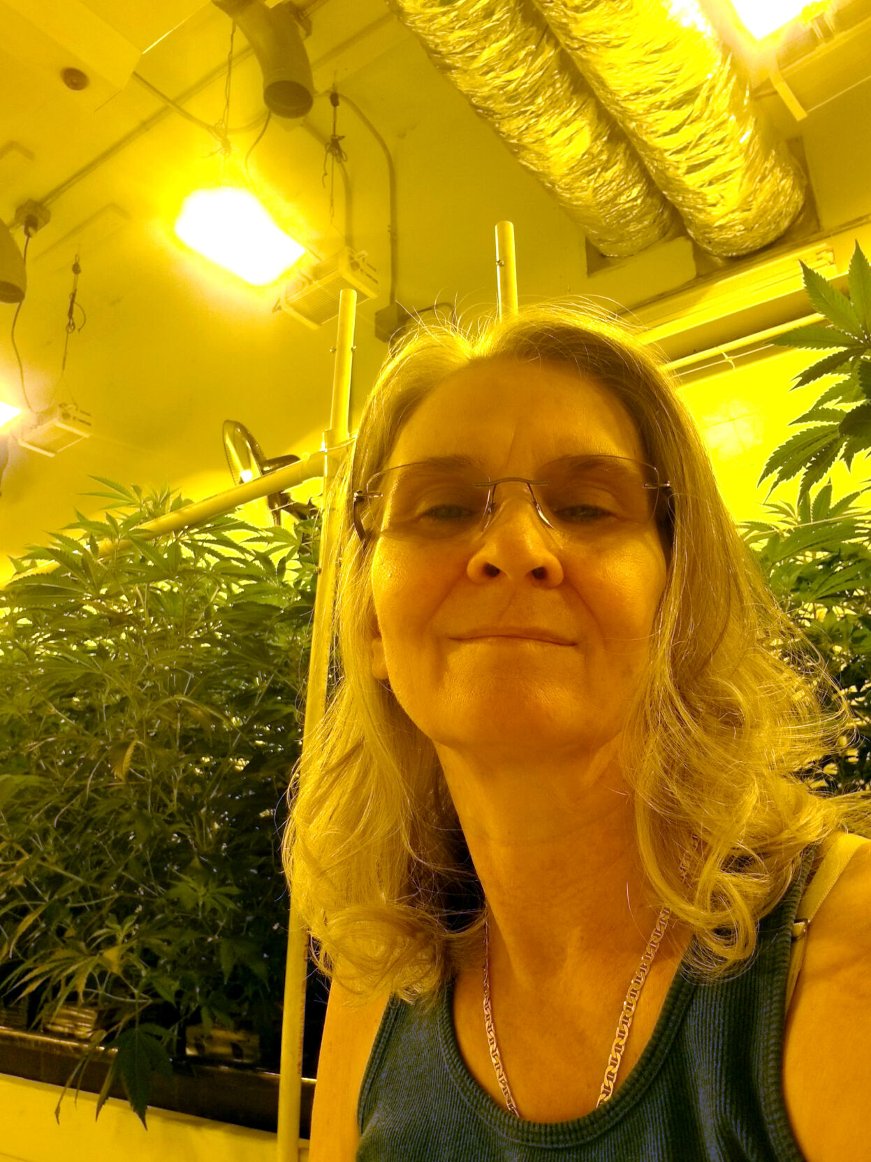 Blue Bear Cannafarm